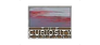 The Curiosity Company